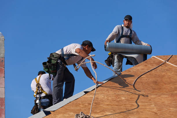 Best New Roof Installation  in Winona, MN