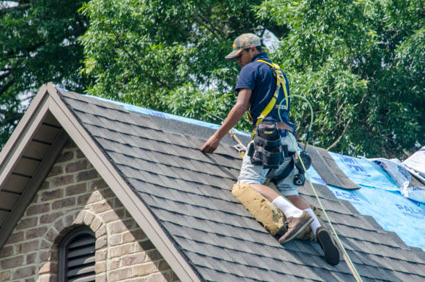 Best Commercial Roofing Services  in Winona, MN